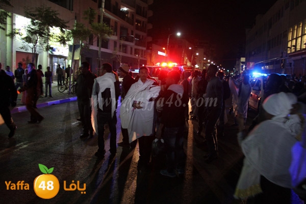 shejar aretreeien (3).JPG